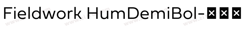 Fieldwork HumDemiBol字体转换